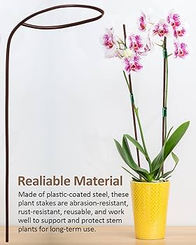 棘.PLANTS Amazon.com : Plant Stakes 17inch &11inch SupKing Adjustable